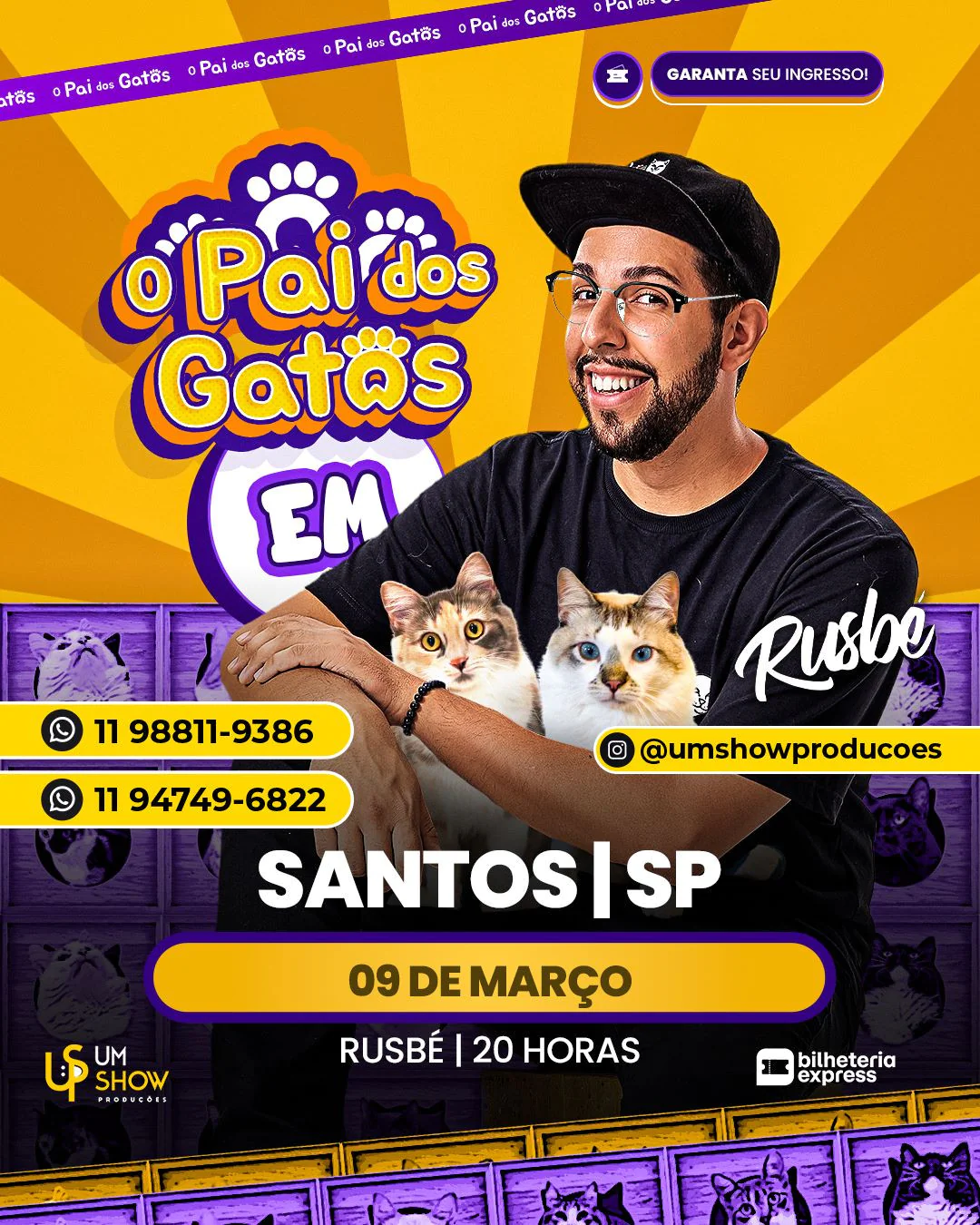 PAI DOS GATOS EM SANTOS