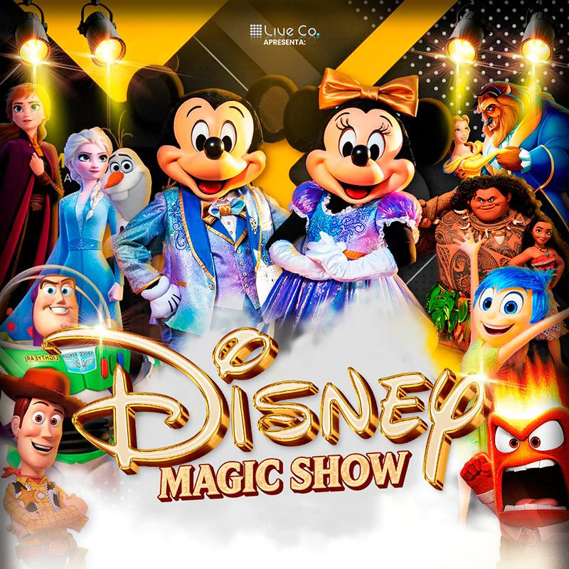 DISNEY MAGIC SHOW 