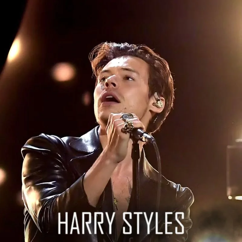 TRANSPORTE HARRY STYLES