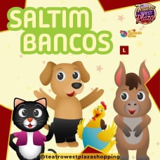 A Aventura dos Saltimbancos