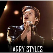 TRANSPORTE HARRY STYLES