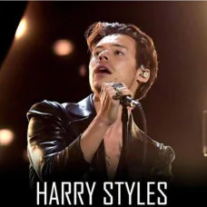 TRANSPORTE HARRY STYLES