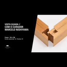 Visita Guiada com o curador Marcelo Nishiyama - 16h 