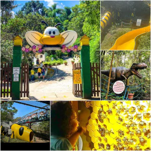 Cidade das Abelhas - Parque