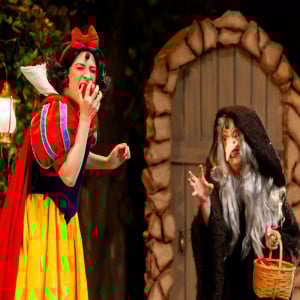 BRANCA DE NEVE - O MUSICAL