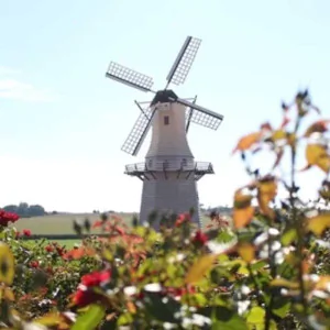HOLAMBRA A Cidade das Flores I Duração: 8 horas - Saída Regulares: Quarta, Sexta e Domingo