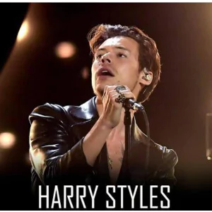 TRANSPORTE HARRY STYLES