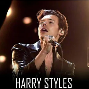 TRANSPORTE HARRY STYLES