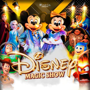 DISNEY MAGIC SHOW 