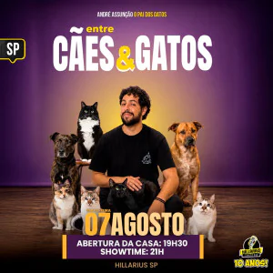 André Assunção - Cães e Gatos