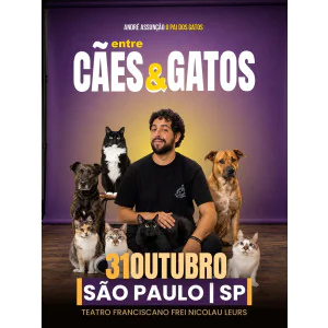 PAI DOS GATOS EM GUARULHOS