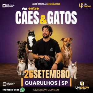 PAI DOS GATOS EM GUARULHOS